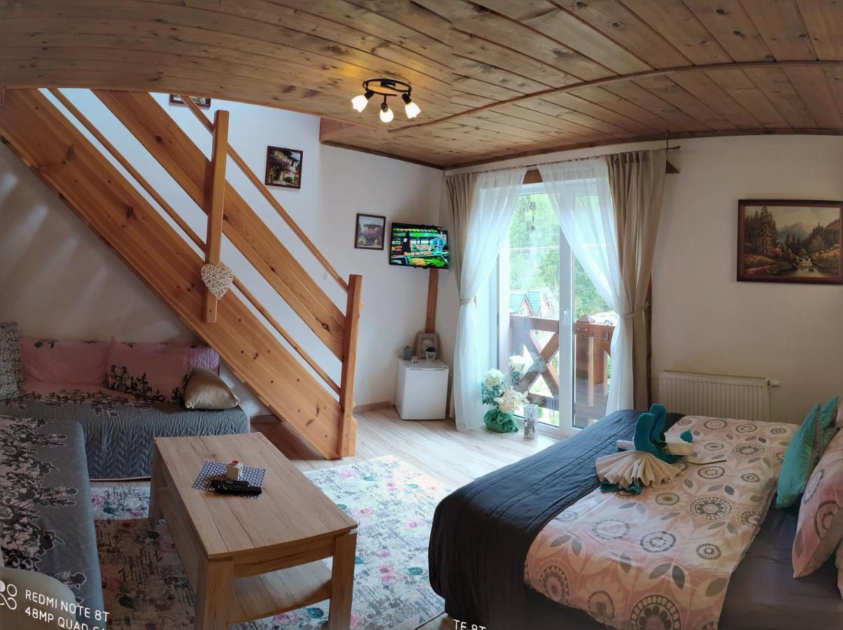 Privat Gazda Pension ชเดียร์ ภายนอก รูปภาพ